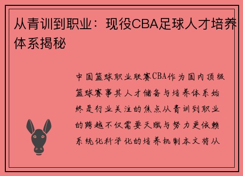 从青训到职业：现役CBA足球人才培养体系揭秘