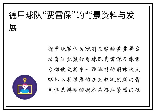 德甲球队“费雷保”的背景资料与发展