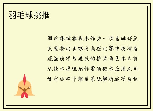 羽毛球挑推